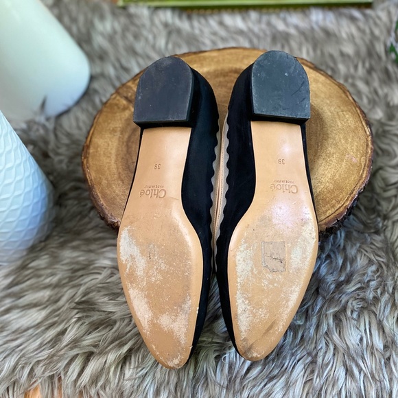 Chloé Pointed Toe flats - Bridget Scallop Mesh - Picture 5 of 8